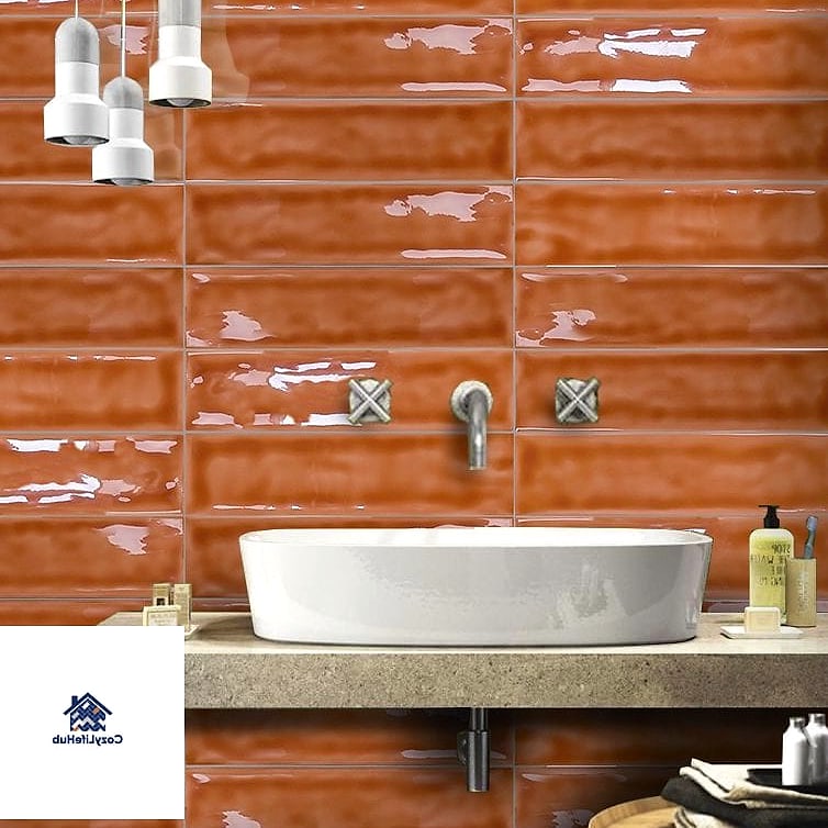 15 Glossy or Matte Subway Tile Ideas That Maximize Style and Function 12 Matte Terracotta Subway Tile for Warmth